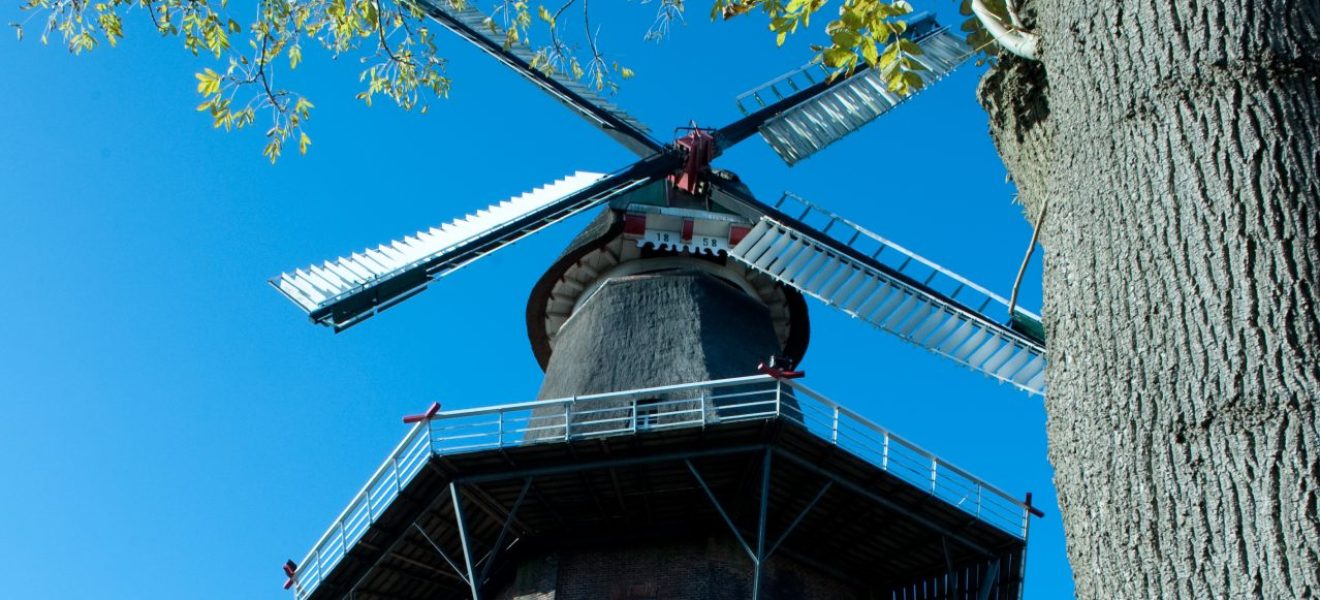Windmühle mit Büschen und Bäumen im Vordergrund