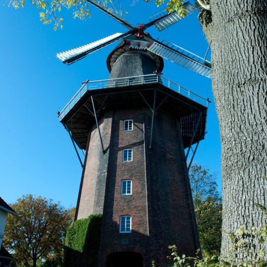 29,95 Meter hoch ist die Auricher Stiftsmühle (Foto: Verkehrsverein Aurich e. V.) Windmühle mit Büschen und Bäumen im Vordergrund