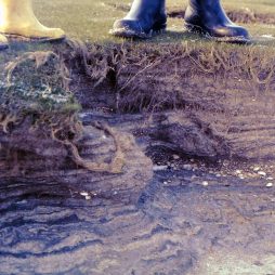 Sturmflutschichten der Marsch an einer Hellerkante (Deichvorland). (Foto: Axel Heinze) Sturmflutschichten der Marsch