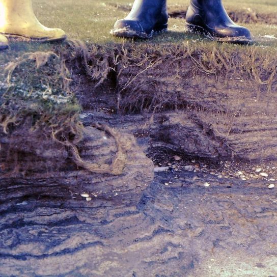Sturmflutschichten der Marsch an einer Hellerkante (Deichvorland). (Foto: Axel Heinze) Sturmflutschichten der Marsch
