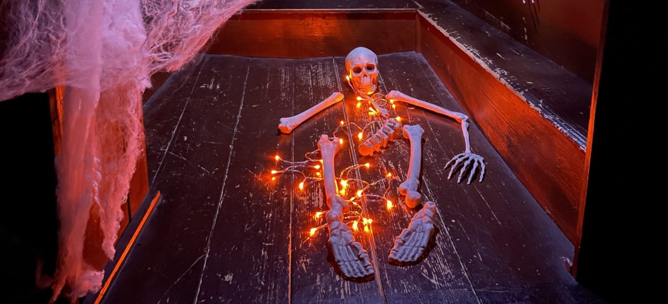 Foto eines für Halloween dekorierten Raumes mit einem Plastikskelett, Lichterkette und künstlichen Spinnenweben